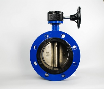 Worm flange butterfly valve