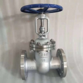 Cast Iron or ss JIS ANSI gate valve