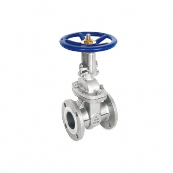 Cast Iron or ss JIS ANSI gate valve