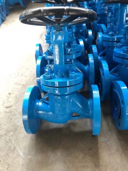 Flange JIS ANSI globe valve