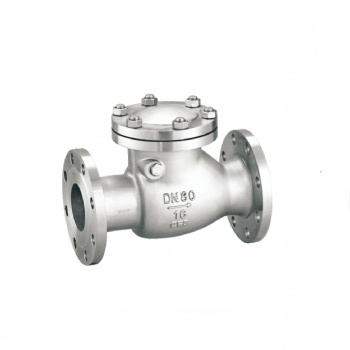 Swing SS check valve