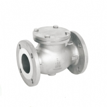 Swing SS check valve