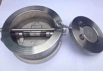 SS Double disc wafer check valve