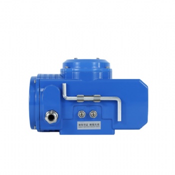 Weatherproof IP 67 Electric Actuator